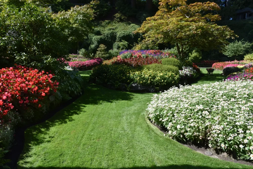 landscaping