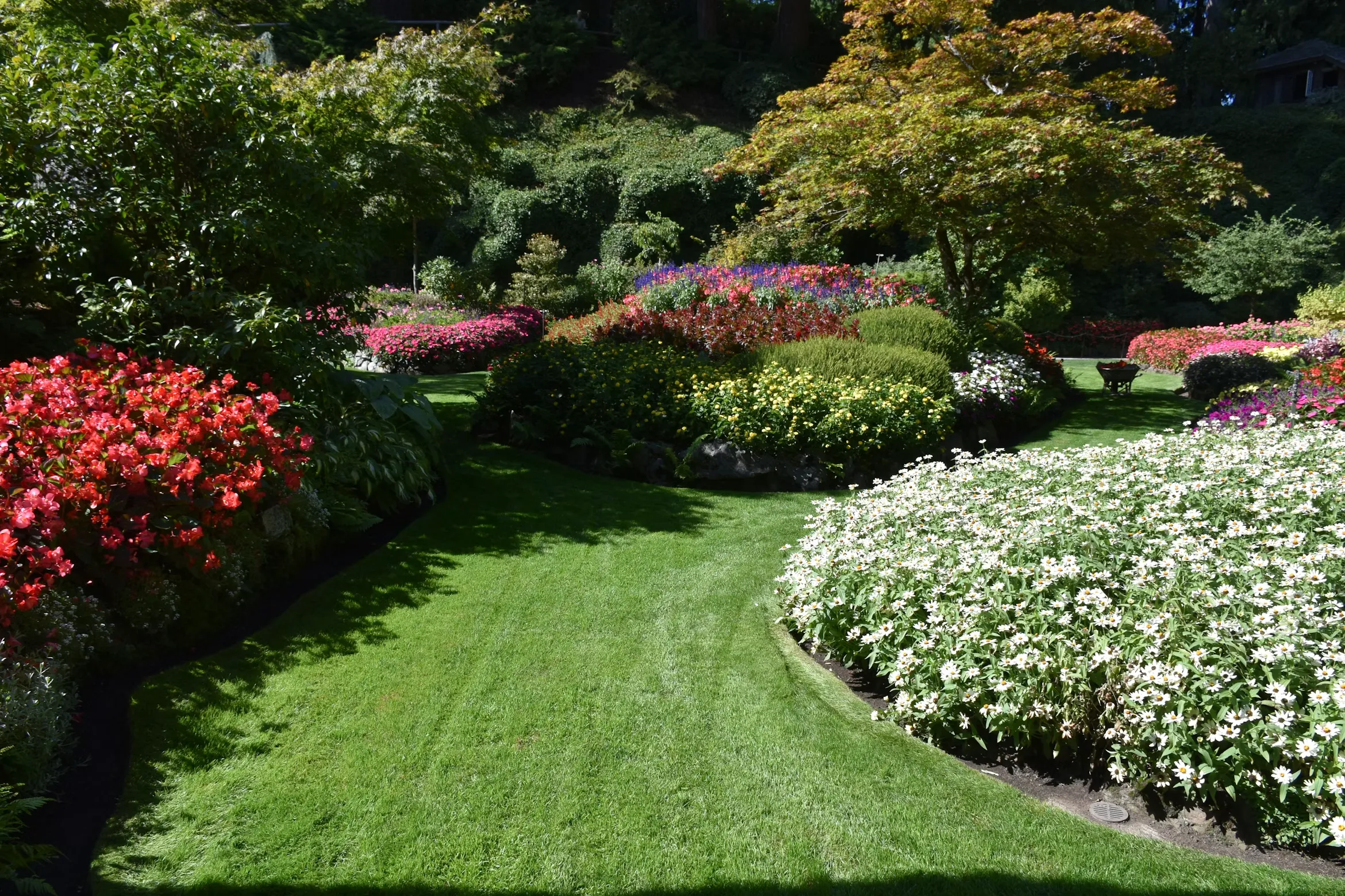 landscaping