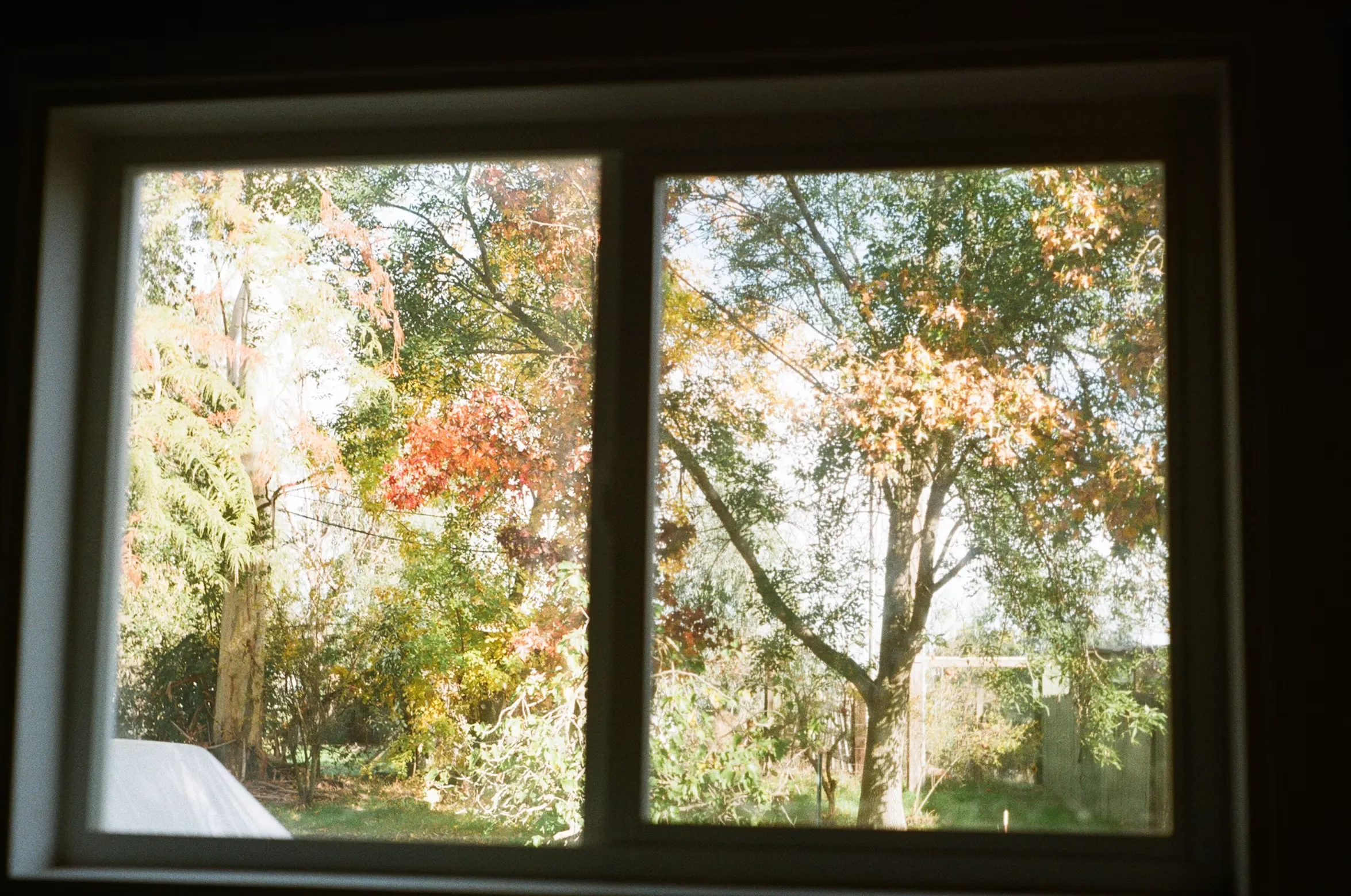 window replacement