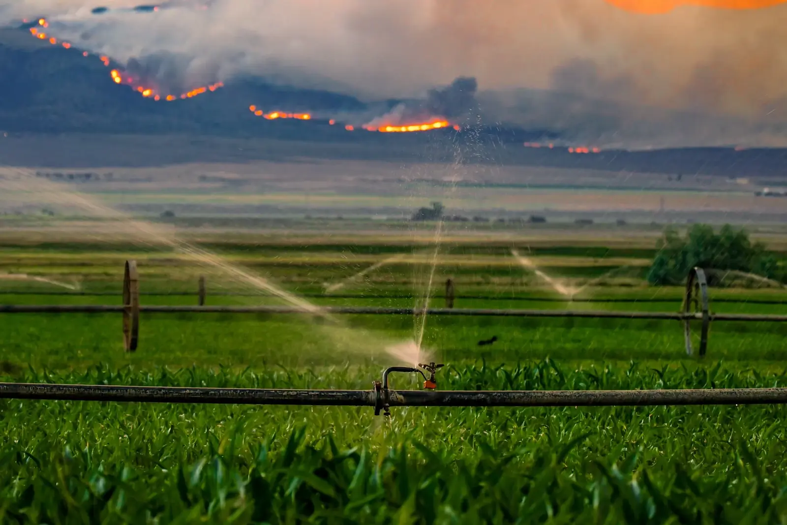 Irrigation and repair