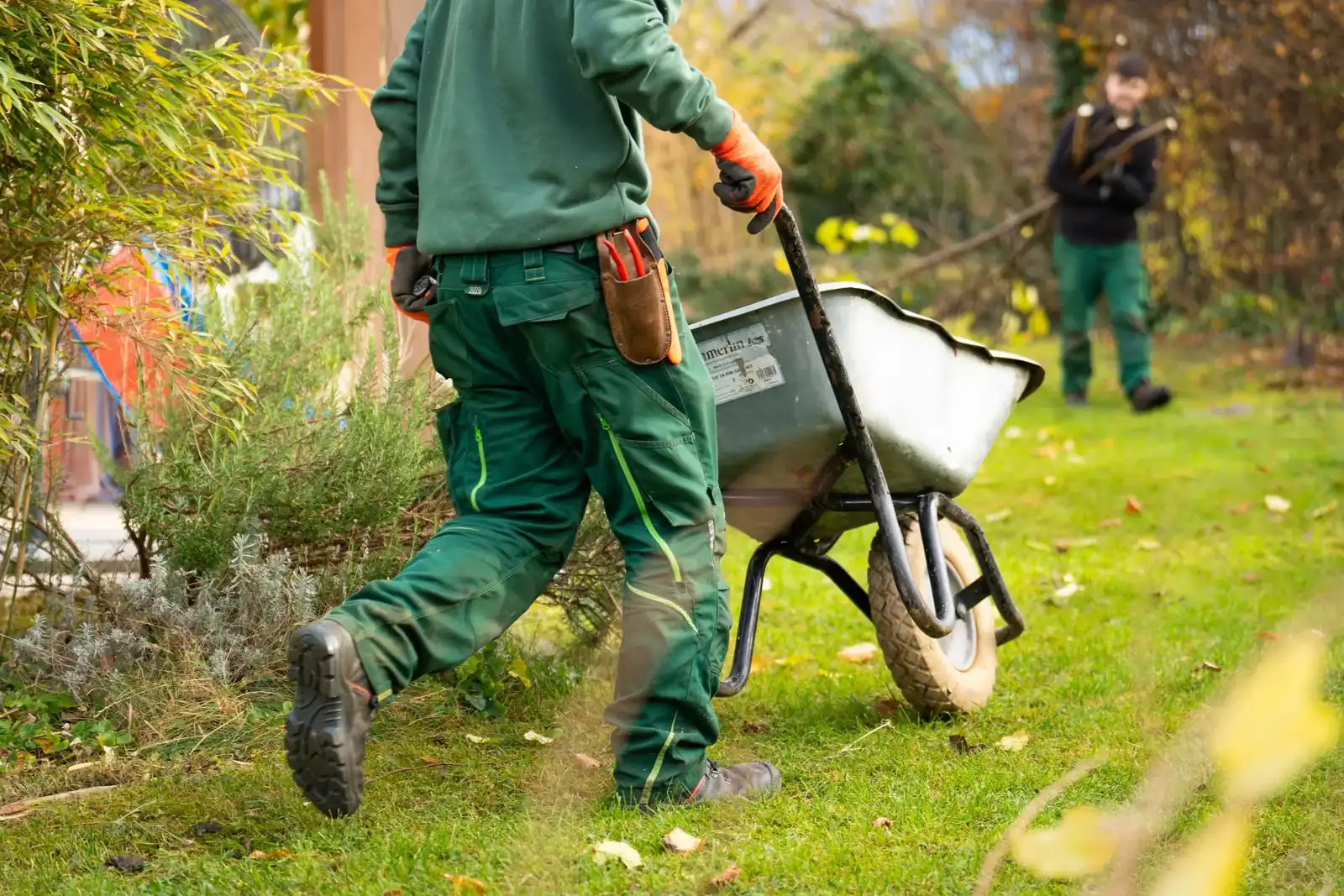 Landscape Maintenance Programs