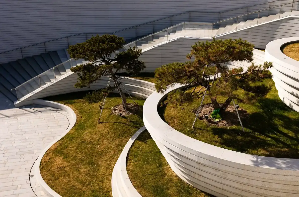 Landscape design