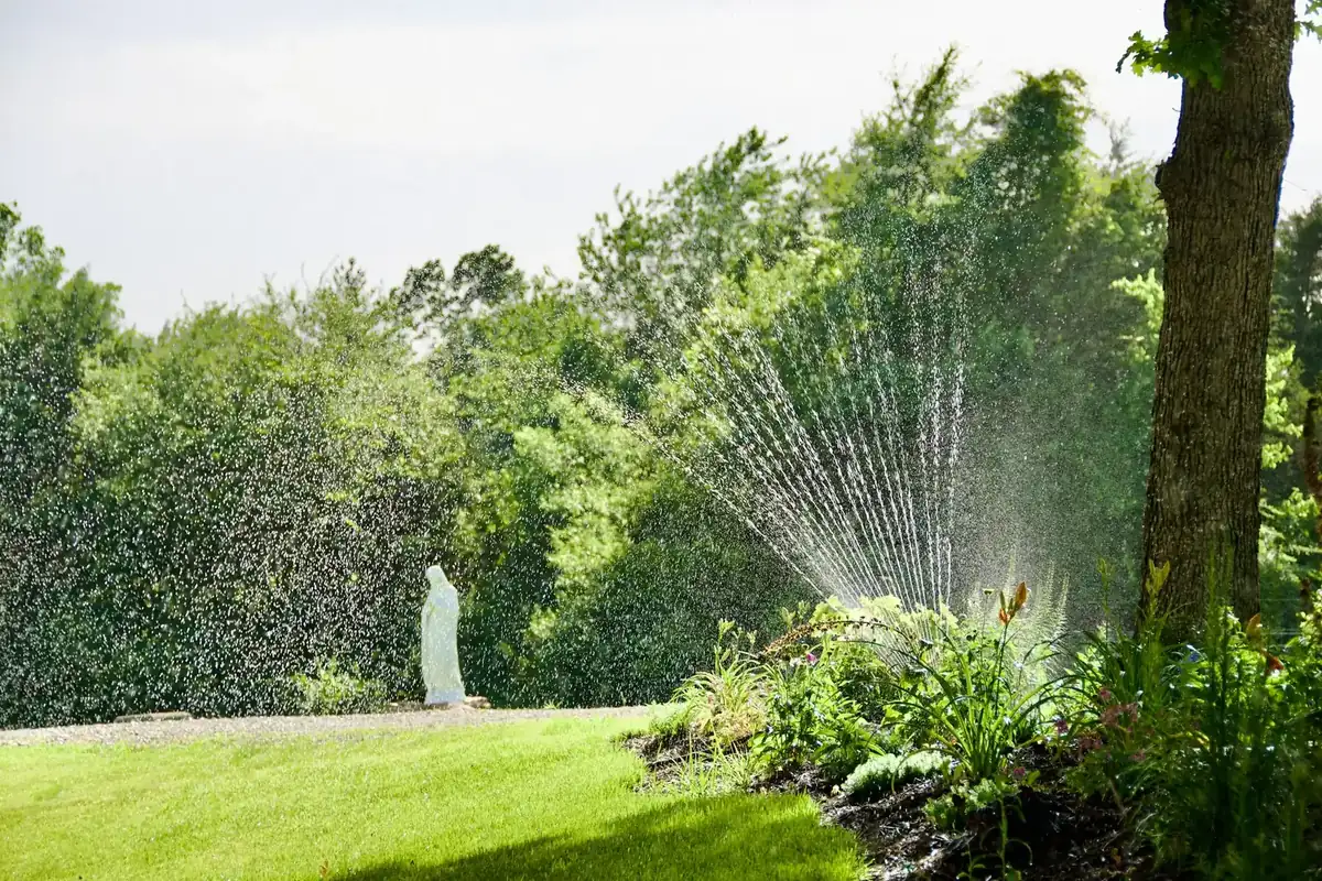 Water-Wise landscaping