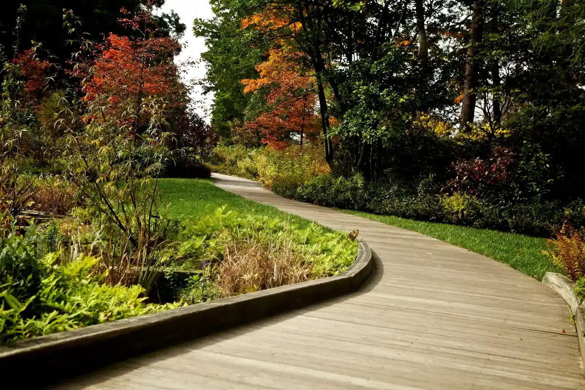 landscape repair